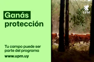 publicidad